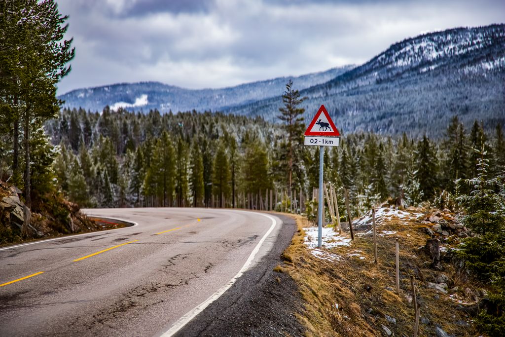 kozlekedes-norvegiaban-magyar-autosoknak